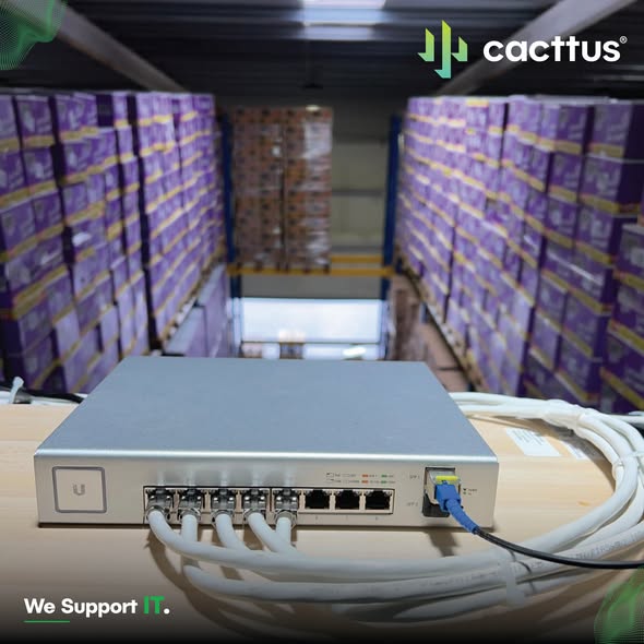 CACTTUS – “Atlantik”